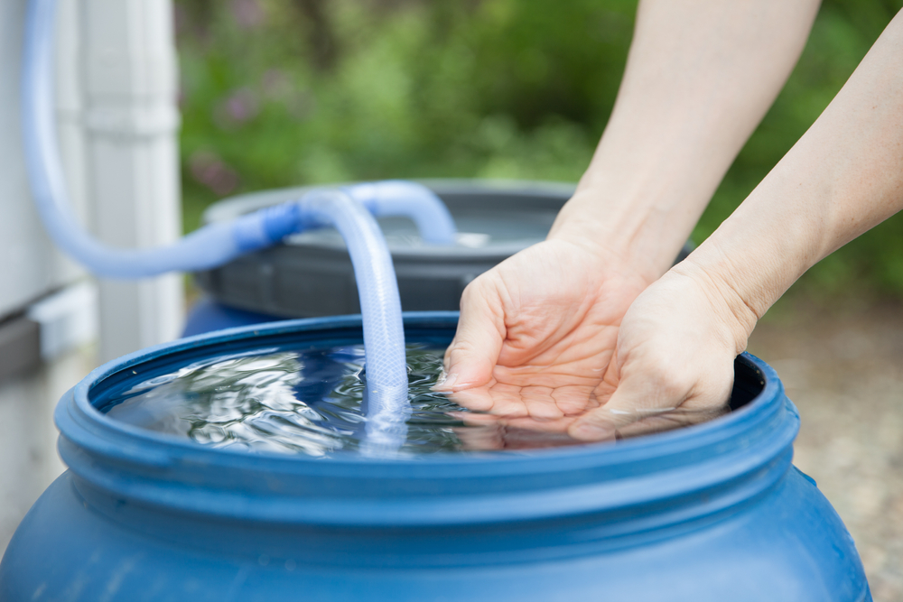 a-person-getting-water-from-a-container